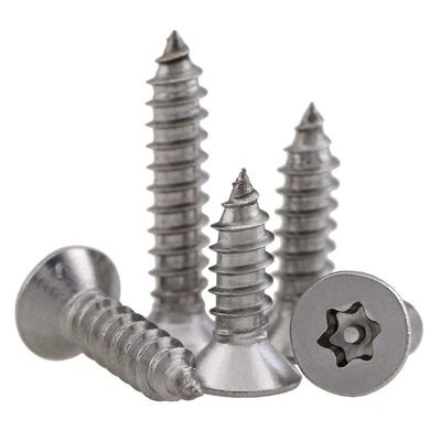 Het Bewijs Zelf Onttrekkende Schroeven van de Torxstamper