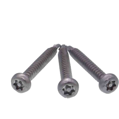 304 201 Schroeven van Roestvrij staalpin head torx self drilling knoeien Bestand