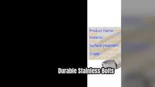 Roestvrijstalen bouten beveiligen uw projecten