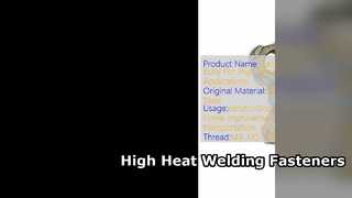 Lasmoeren op hoge temperatuur Bouten 316 roestvrij staal